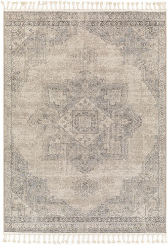 Euphoria 36 X 24 inch Taupe Rug, Rectangle