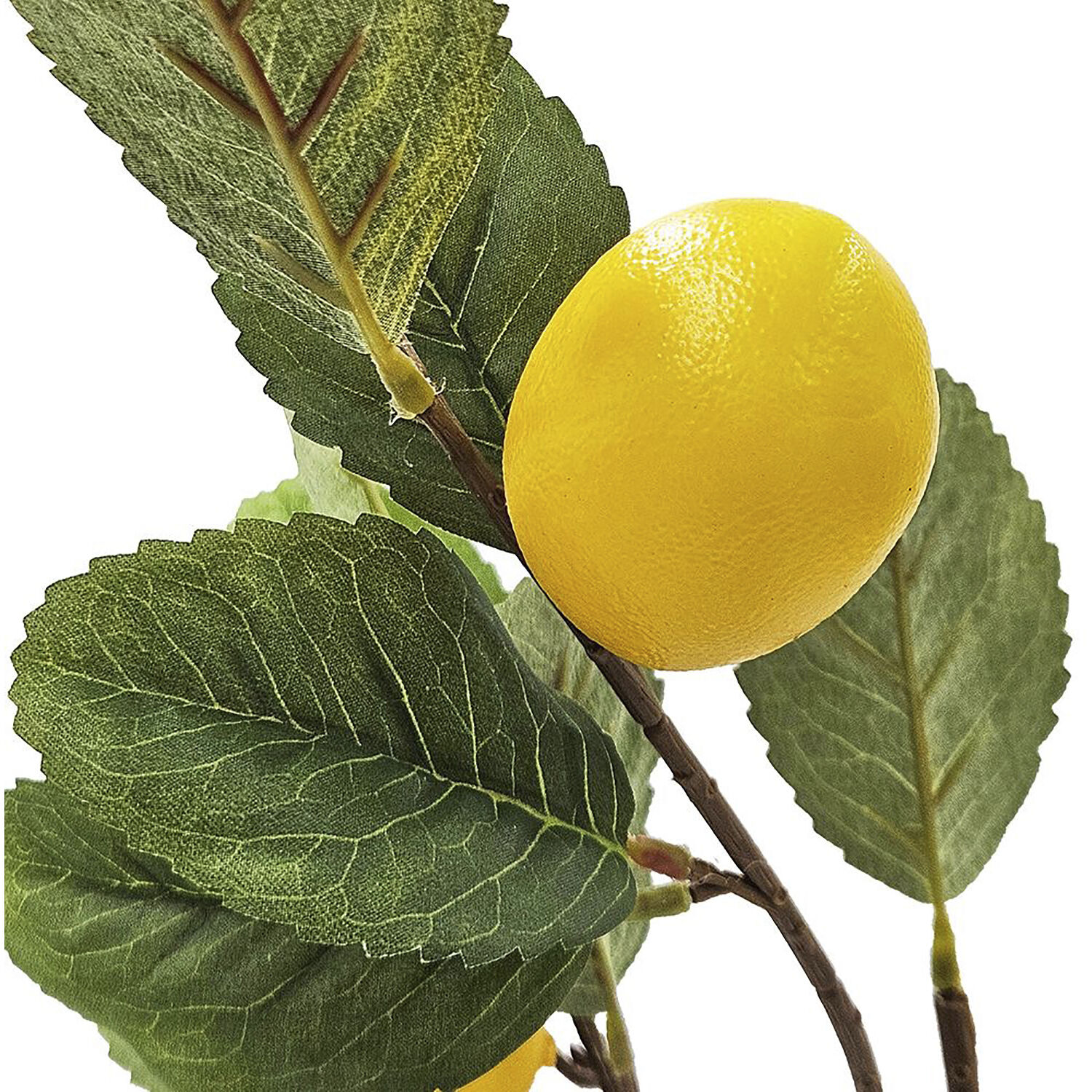 Lemon Spray Green and Yellow Botanical