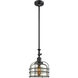 Franklin Restoration Bell Cage 1 Light 9 inch Matte Black Mini Pendant Ceiling Light in Incandescent, Silver Plated Mercury, Franklin Restoration