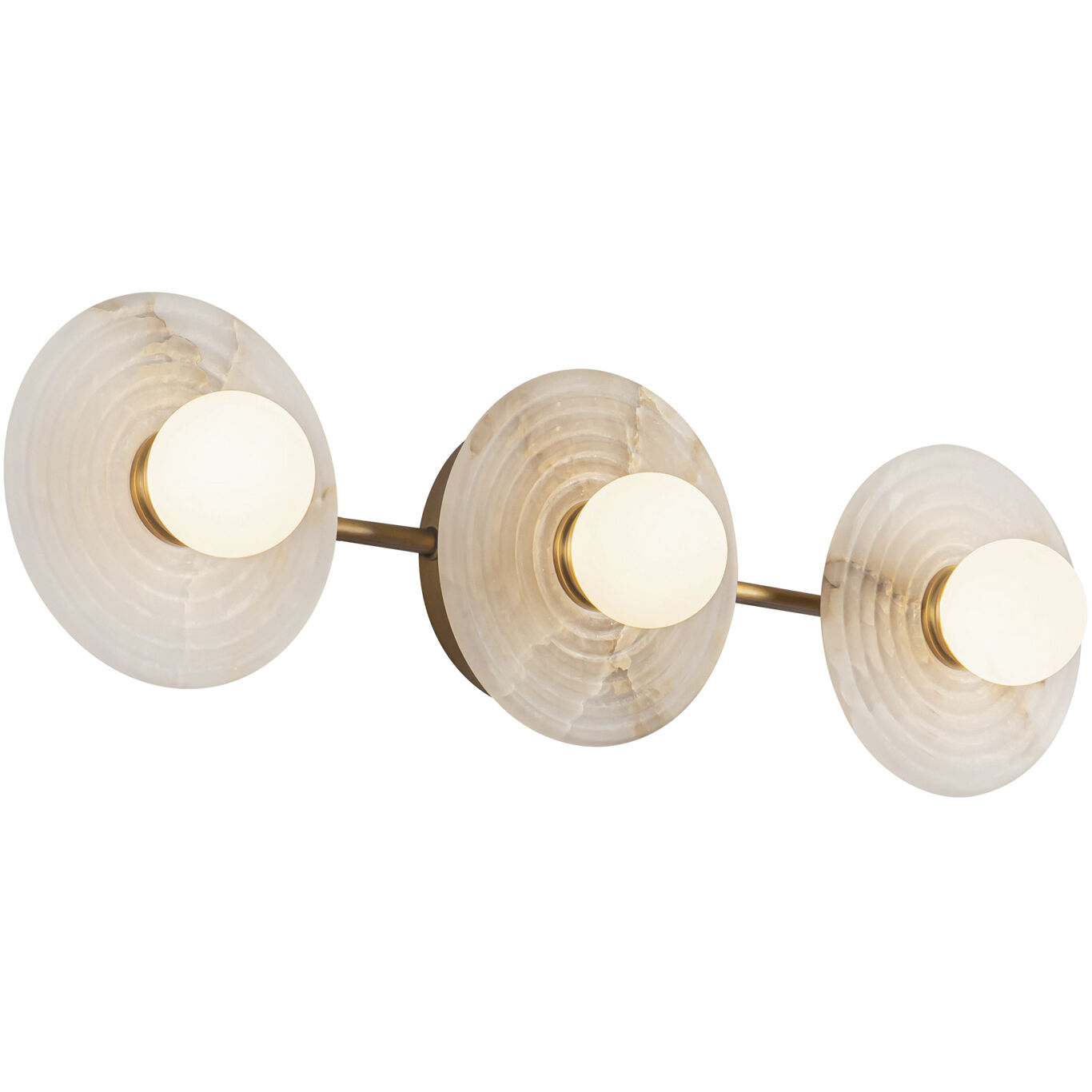 Dahlia Wall/Vanity Light Wall Light in Vintage Brass