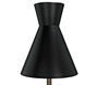 Thinking Cap 67 inch 60.00 watt Matte Black with Antique Brass Floor Lamp Portable Light
