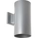Cylinder 1 Light 12 inch Metallic Gray Outdoor Wall Cylinder in Metallic Grey, Standard
