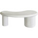 Stella 34 X 16.25 inch Plaster White Coffee Table