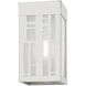 Malmo 1 Light 9 inch Brushed Nickel Outdoor Small Sconce, Small