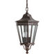 Cotswold Lane 3 Light 9.50 inch Outdoor Pendant/Chandelier