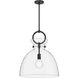 Alora Mood Waldo 1 Light 18 inch Matte Black Pendant Ceiling Light in Clear