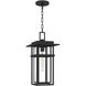 Morgan 1 Light 10 inch Earth Black Outdoor Hanging Lantern