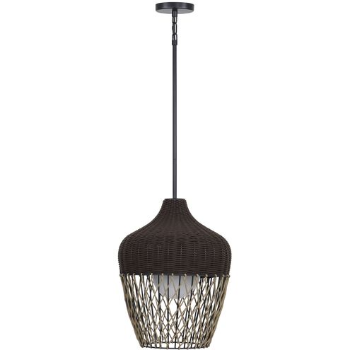 Hannah 1 Light 22 inch Black Outdoor Pendant, Both Indoor/Outdoor