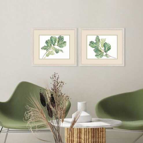 Fiddle Fig Leaf Green Framed Art