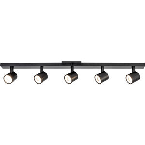 Arnold 120-277 Black Track Light Ceiling Light