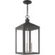 Nyack 3 Light 10.5 inch Scandinavian Gray Outdoor Pendant Lantern