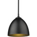 Yep Zoey 1 Light 9 inch Olympic Gold Pendant Ceiling Light in Matte Black, Small