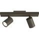 Ascoli Bronze 2 Light Interior Spotlight
