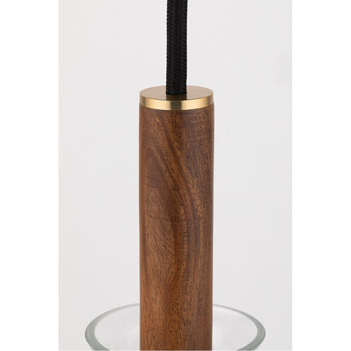 Dani LED 14 inch Aged Brass Pendant Ceiling Light