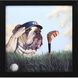 Animals Collection 11 X 11 inch Non-Glass Framed Art