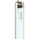 Lumos Fluorescent 40 watt 6500K Light Bulb, T10 Linear