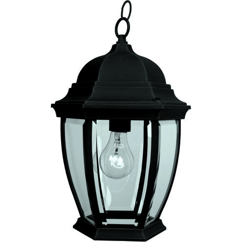 Bent Glass 1 Light 10 inch Textured Black Outdoor Pendant in Textured Matte Black, Small