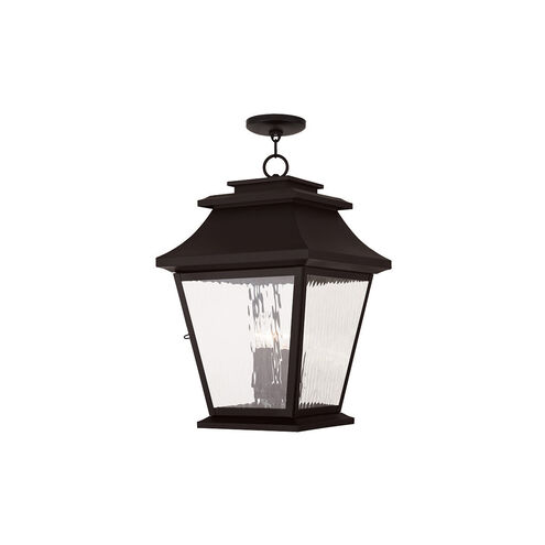 Hathaway 4 Light 14 inch Bronze Outdoor Pendant Lantern