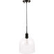 Codorus 1 Light 10 inch Black Pendant Ceiling Light