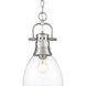 Yep Duncan 1 Light 8.88 inch Pewter Pendant Ceiling Light in Clear Glass