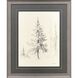 Elegant Pine Black and Beige and Gray Framed Art, Propac