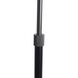 Roswell 63 inch 23.00 watt Matte Black Floor Lamp Portable Light