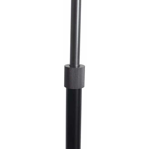 Roswell 63 inch 23.00 watt Matte Black Floor Lamp Portable Light