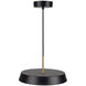 Lexi LED 16 inch Black Pendant Ceiling Light