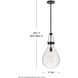 Eloise 1 Light 11 inch Black Pendant Ceiling Light