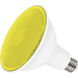 Lumos LED LED Medium 11.50 watt Light Bulb