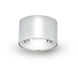 NODE Series Chrome Surface Mounted Downlight Ceiling Light