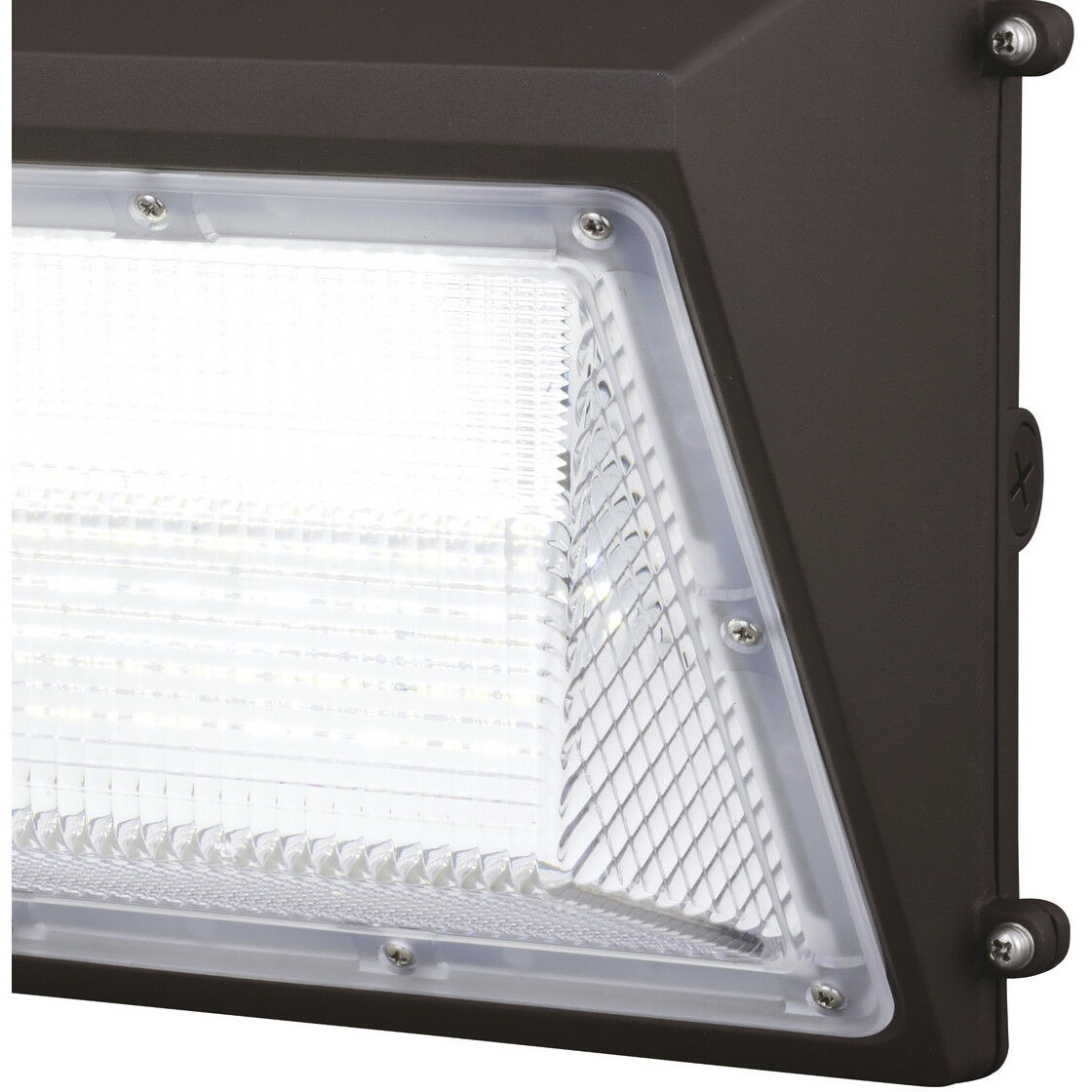 Ray LED 9.25 inch Bronze Outdoor Security
