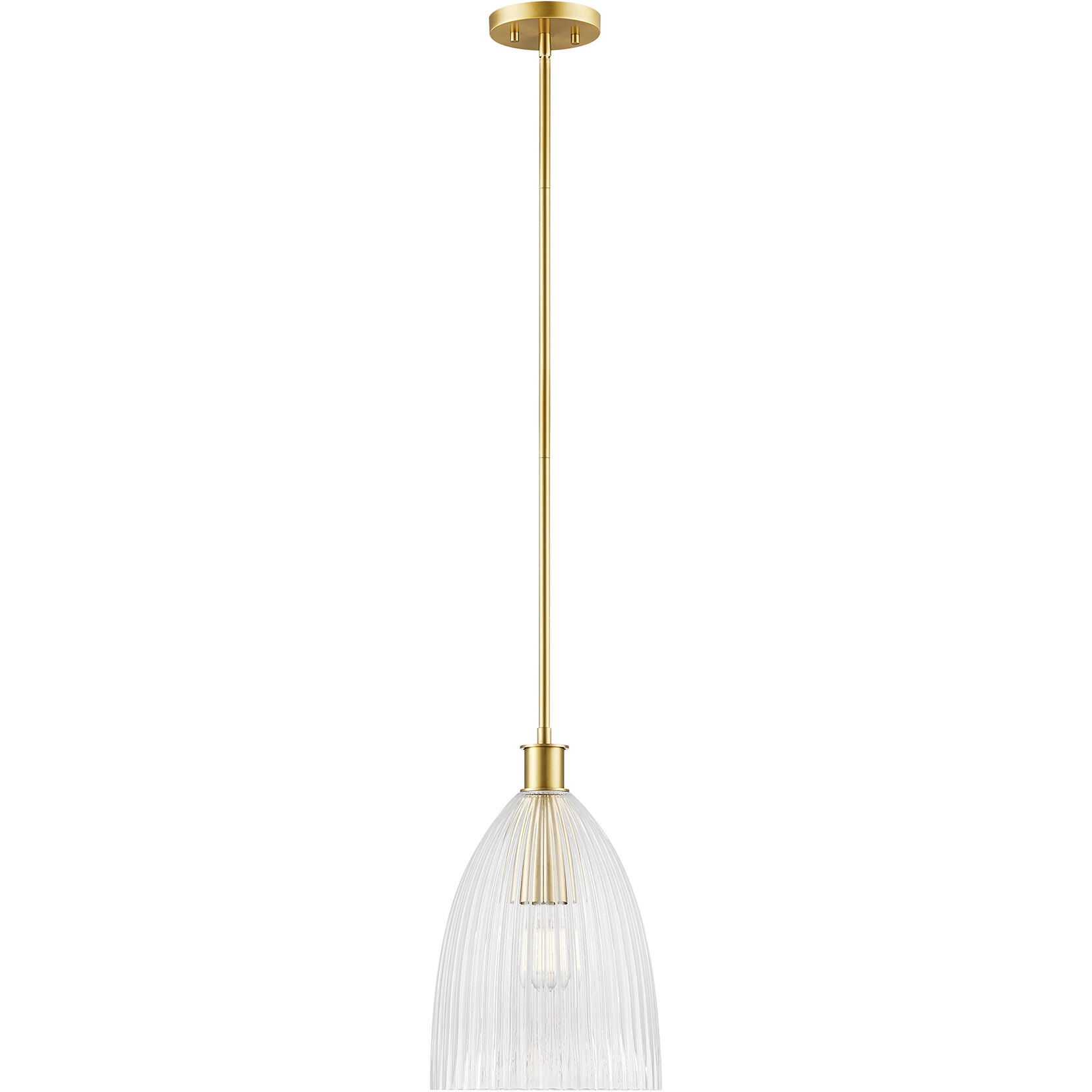 Transitional 1 Light 10 inch Natural Brass Pendant Ceiling Light