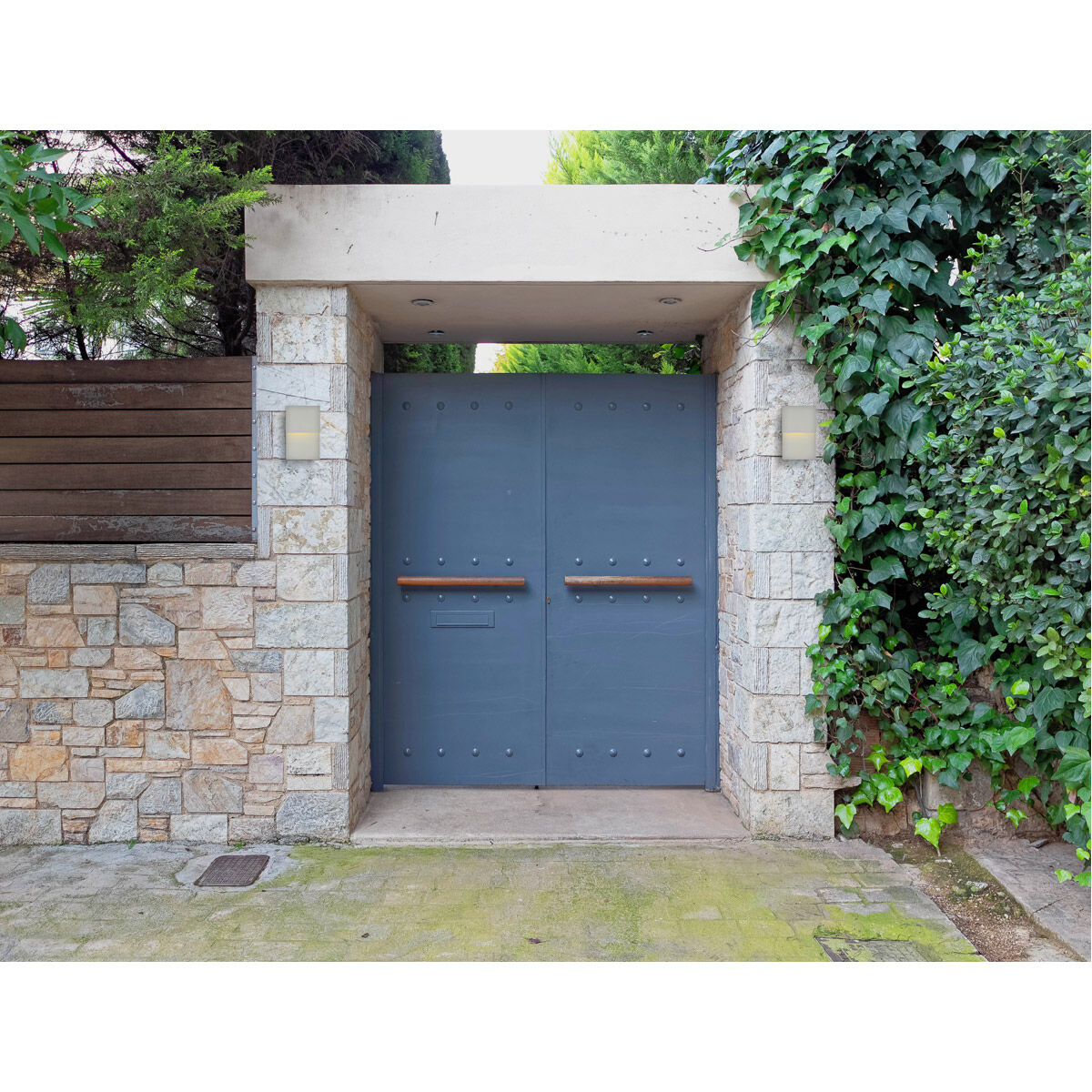 Raine 11 inch Silver Outdoor Wall Light