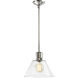 Zigrina 1 Light 11.75 inch Polished Nickel Pendant Ceiling Light