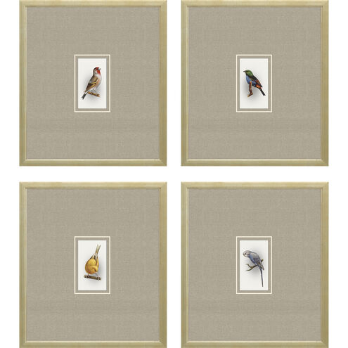 Animals Collection Multi Framed Art
