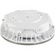 Brentwood LED 10 inch White Flush Mount Ceiling Light