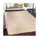 Cappadocia 36 X 24 inch Khaki/Taupe/Wheat/Tan/Mauve Rugs, Rectangle