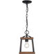 Teagan 1 Light 8 inch Natural Black Mini Pendant Ceiling Light in Rustic Oak Wood Accents