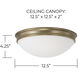 Hansen 2 Light 12.5 inch Aged Brass Flush Mount Ceiling Light