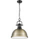 Yep Duncan 1 Light 14 inch Matte Black Pendant Ceiling Light in Aged Brass, Large