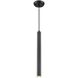 Baffin 1 Light 1.5 inch Multiple Finishes and Ebony Pendant Ceiling Light