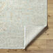 Anelka 36 X 24 inch Light Silver / Sterling Grey Handmade Rug in 2 x 3