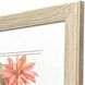 Just Peachy Pink and Orange and Multi and Green Framed Art, Propac