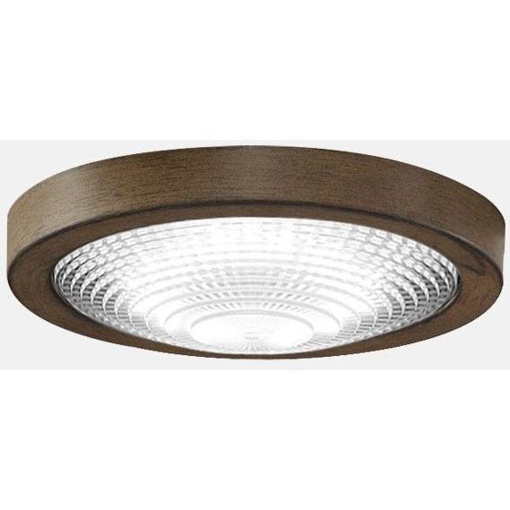 Spitfire 1 Light Antique Graphite Fan Light Kit