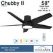 Chubby II 58 inch Coal Indoor/Outdoor Ceiling Fan, Wifi