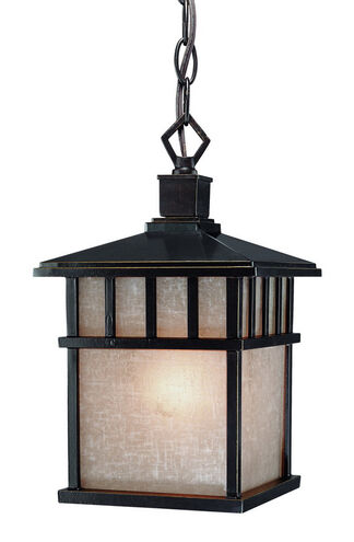 Barton 1 Light 7 inch Winchester Exterior Hanging Lantern in Arizona