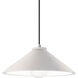 Radiance Collection 1 Light 11.75 inch Hammered Pewter with Matte Black Pendant Ceiling Light