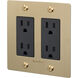 2G Duplex 125 Brass Outlet