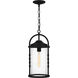 Reece 1 Light 8.75 inch Earth Black Outdoor Hanging Lantern